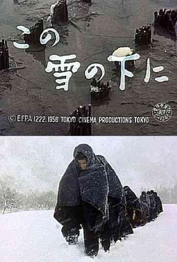 Country Life under Snow Poster