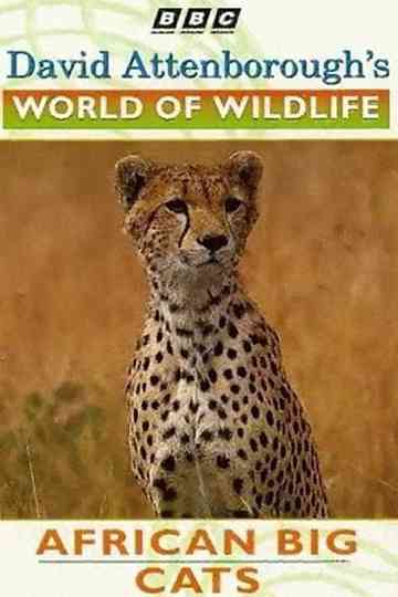 World of Wildlife African Big Cats Poster