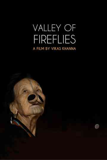 Valley of Fireflies Poster