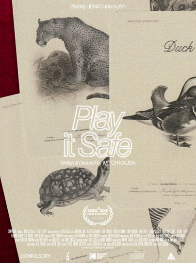 Play It Safe Poster