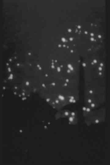 AFTERIMAGE OF SUMMER Poster