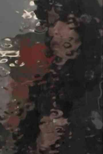 Akira Tsuboi Documents Poster