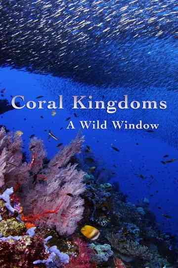 A Wild Window Coral Kingdoms Poster