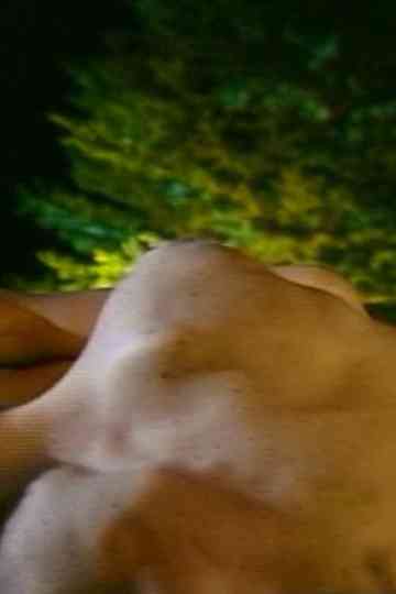 Heads or Tails Poster