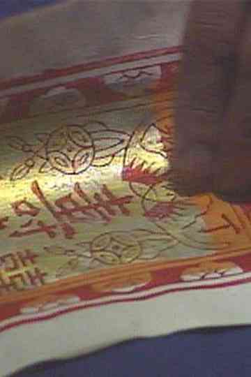 Fighting Chance Poster