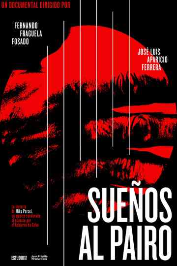 Dreams adrift Poster