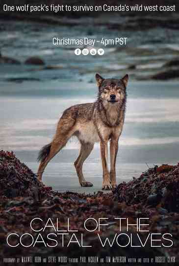 Call Of The Coastal Wolves Poster
