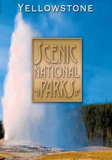 Treasures of Americas National Parks Yellowstone Poster