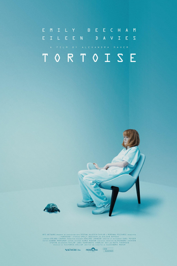 Tortoise Poster