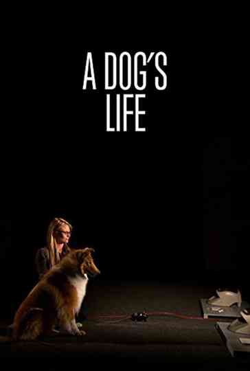 A Dog's Life Poster