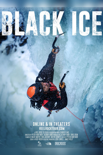 Black Ice Poster