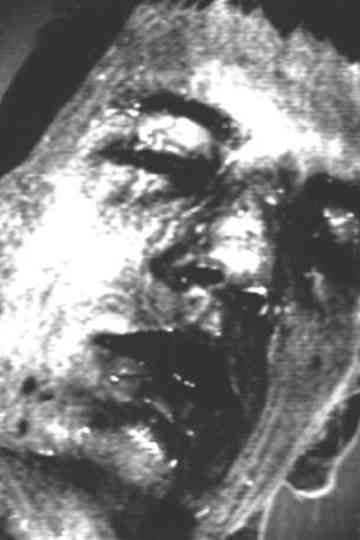 Got Away In the Dying Moments Poster