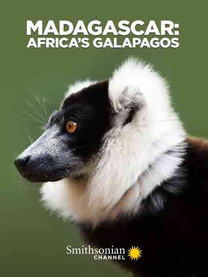 Madagascar: Africa's Galapagos Poster