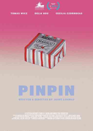 PINPIN poster