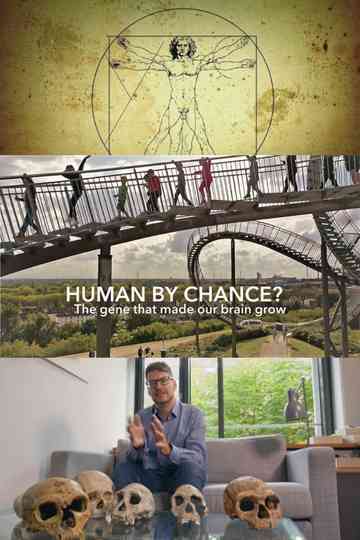 Human By Chance