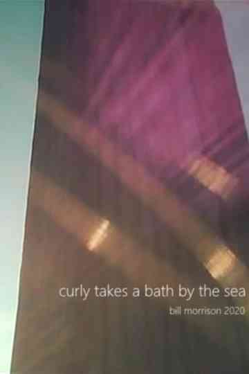 Curly Takes a Bath by the Sea Poster