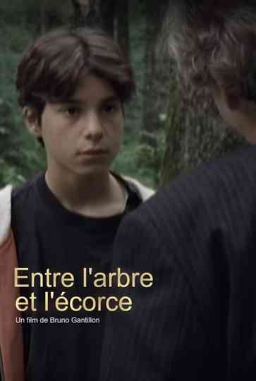 Entre larbre et lécorce