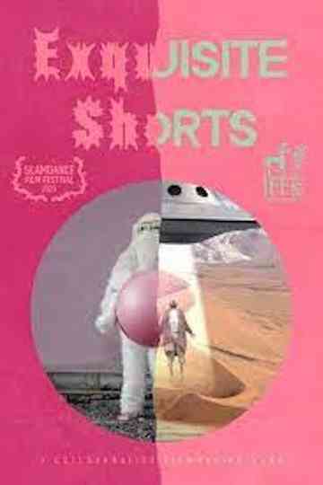 Exquisite Shorts Poster