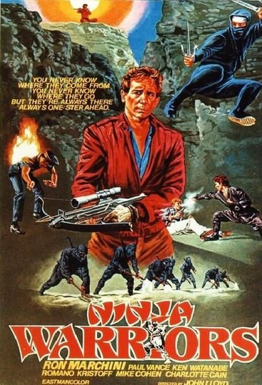 Ninja Warriors Poster