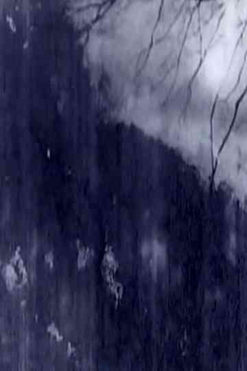 Δ 32 VANISHING 1981 Poster