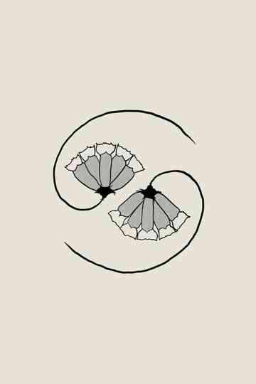 Gds Pee AT STATES END Poster