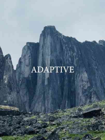 Adaptive Poster