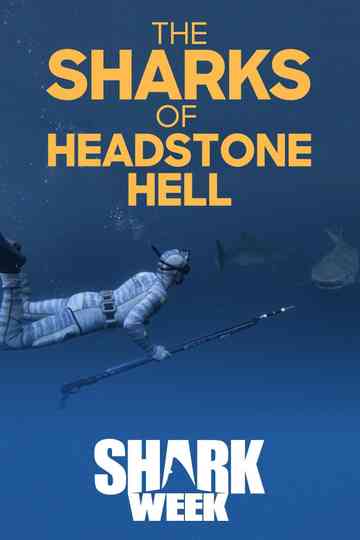 The Sharks Of Headstone Hell Poster