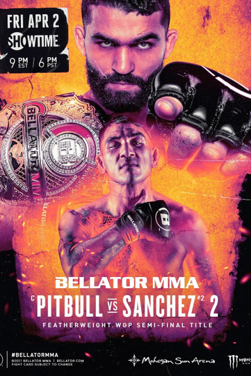 Bellator 255 Pitbull vs Sanchez 2 Poster