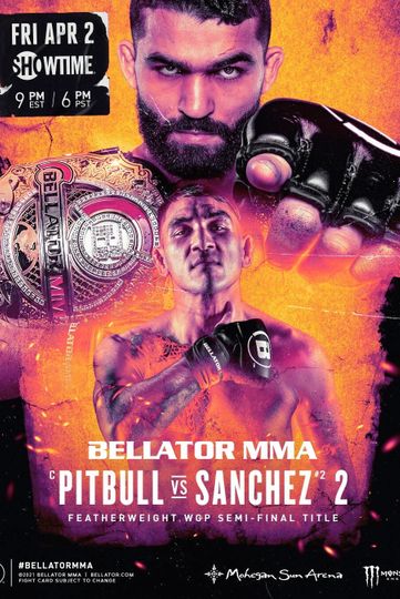Bellator 255 Pitbull vs Sanchez 2
