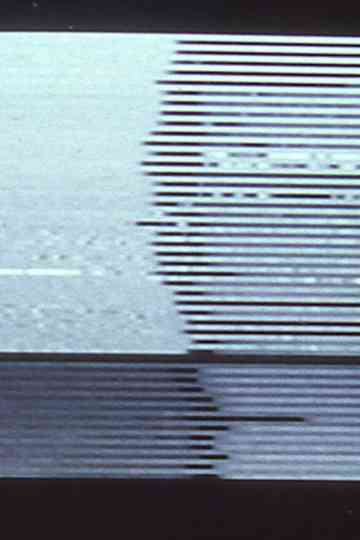 Stasis Series I  II I Still Life II Papas Garden Poster