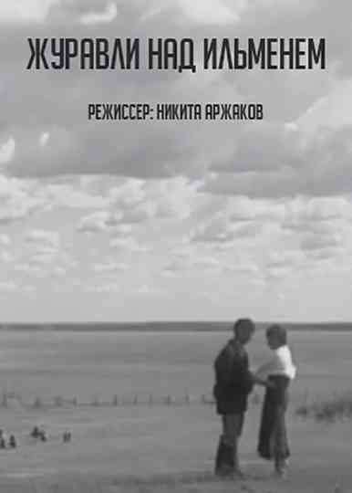 Cranes over Ilmen Poster