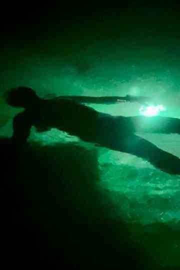 Night Snorkeling Poster