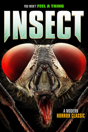 Insect