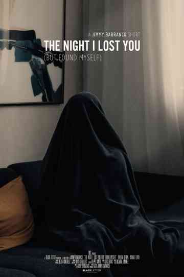 The Night I Lost You But Found Myself Poster