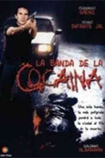 Un ingeniero en la capital Poster