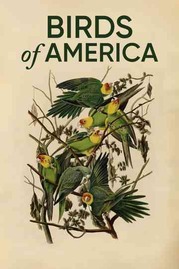 Birds of America poster