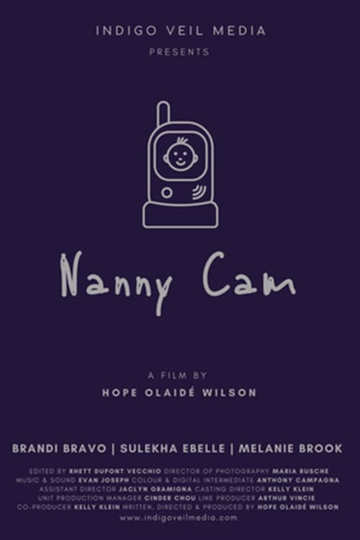 Nanny Cam