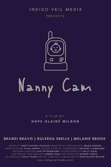 Nanny Cam Poster