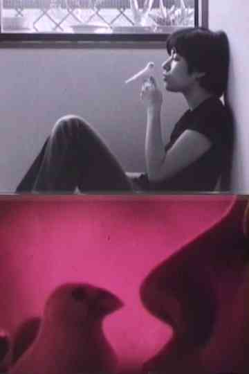 Dedicated to M Poster