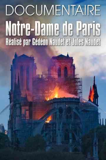 Notre-Dame de Paris des Frères Naudet poster