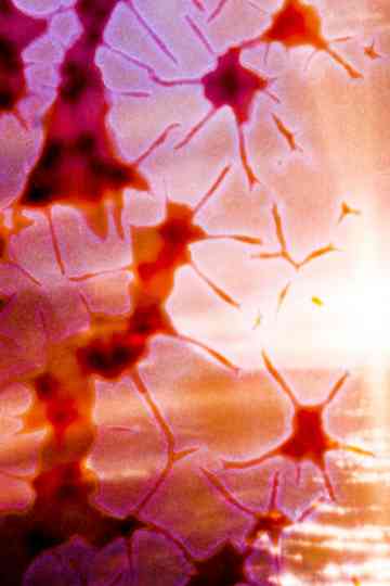 Deepest Darkness, Flaming Sun Poster