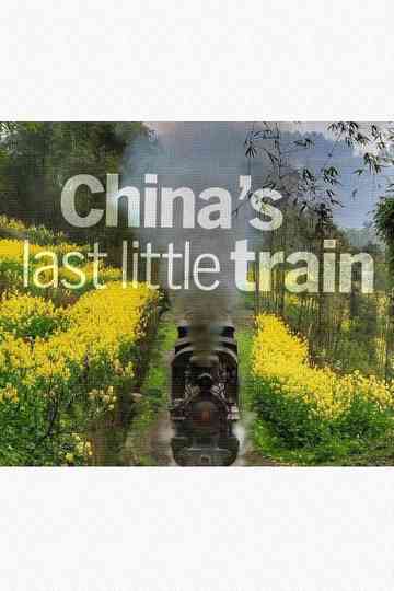 Chinas Last Little Train poster