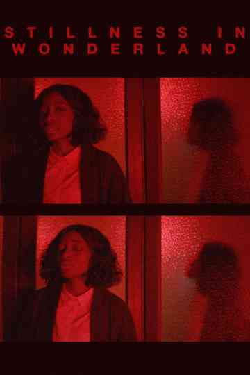 STILLNESS IN WONDERLAND THE FILM Poster