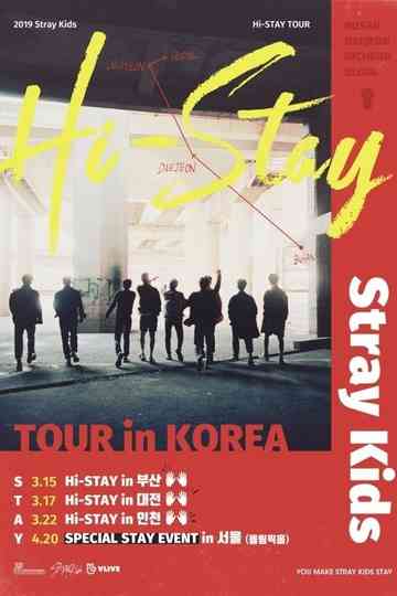 Stray Kids HI-STAY TOUR FINALE IN SEOUL Poster