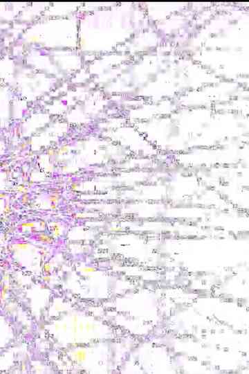 White Altaïr Poster