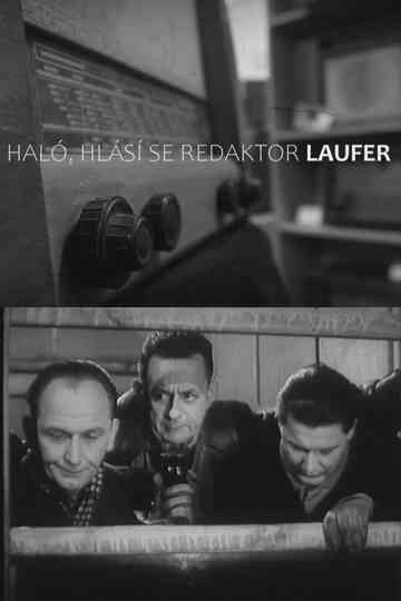 Haló, hlásí se redaktor Laufer! Poster