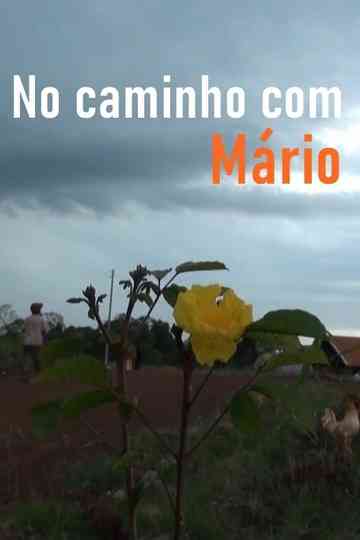 No Caminho com Mário Poster
