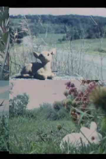 Precious Little Tiny Love Poster