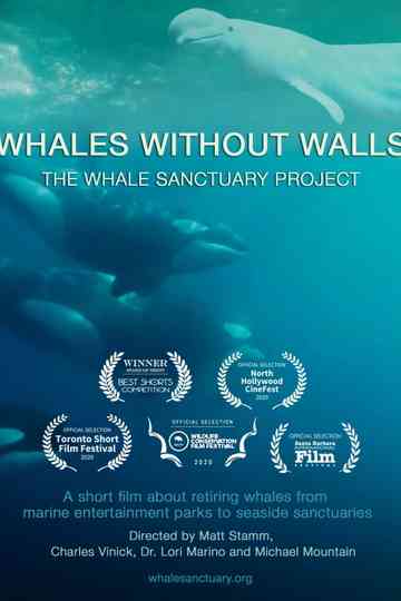 Whales Without Walls Poster