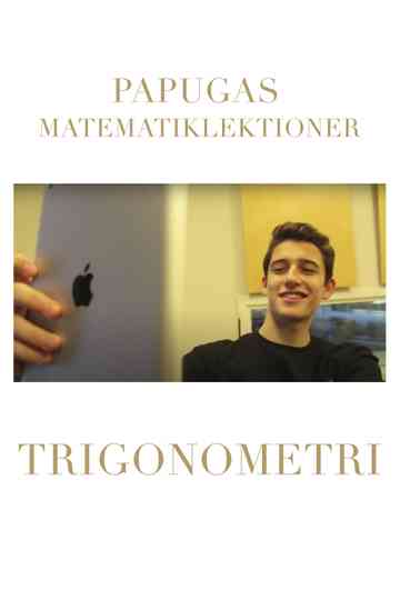 Papugas Matematiklektioner  Trigonometri Poster